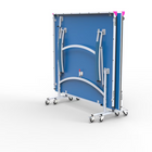 Blue ping pong table 