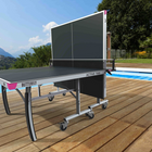 Butterfly outdoor ping pong table on a wooden deck with a scenic background