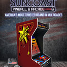Suncoast Arcade Tabletop Brown Classic Arcade Machine - Lit Marquee -  412 Games