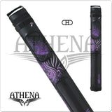 Athena ATHC01     2x2 Hard Case