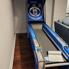 ICE Ball Pro Home Alley Roller