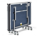 Brunswick Billiards SMASH 7.0 table tennis with 25mm top, foldable, on wheels—rear view.